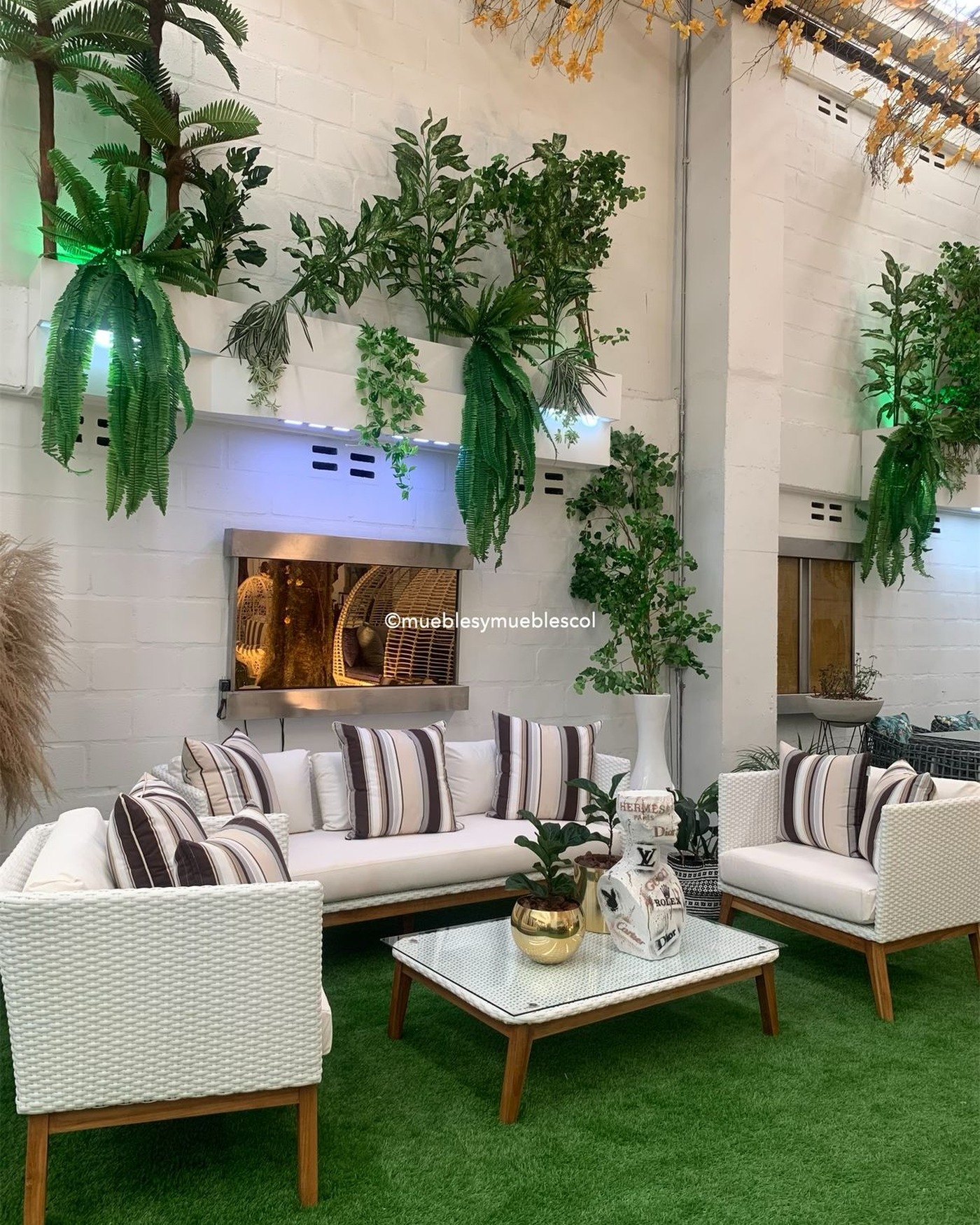 Sala Blanca Rayas